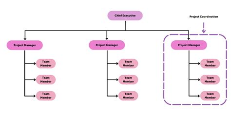 Image result for Project Management Organization Chart