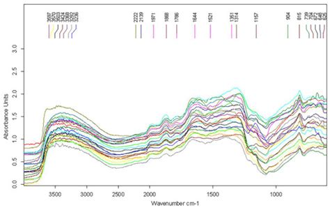 Interdisciplinary Analysis and the Role of Experiments in Raw Materials ...