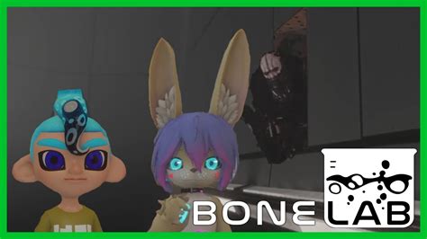 Image result for BoneLab Multiplayer Tips