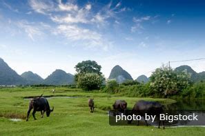 Li River, Li River Cruise Guide from a Local Travel Expert