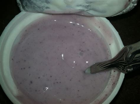 Faith and Family ReviewsGoat's Milk Yogurt Review - Faith and Family ...