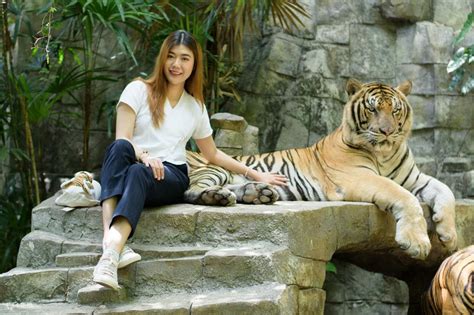 Tiger Kingdom Ticket in Chiang Mai with Transfers - Klook India