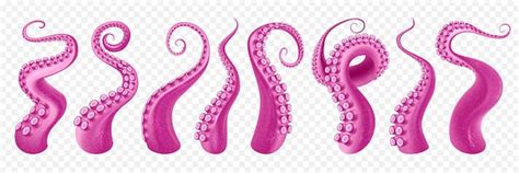 Pagina 2 | Octopus Afbeeldingen - Gratis downloaden op Freepik
