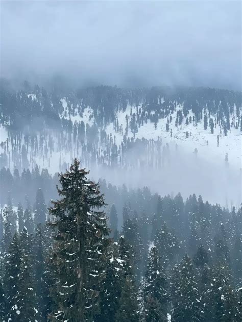 Snowfall In India: जम्मू-कश्मीर में शुरू हुआ स्नोफॉल, भारत के इन 7 ...