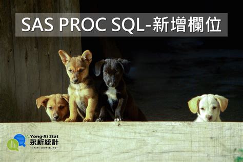 SAS Proc SQL 的图像结果