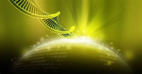 Image result for DNA Activation Code