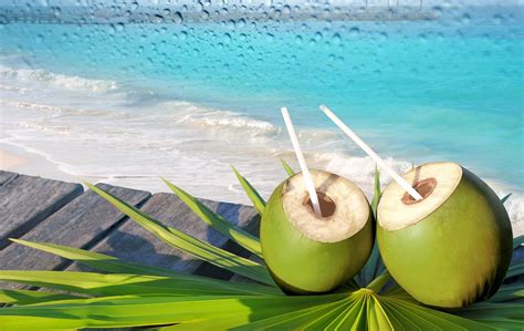 Los increíbles beneficios del agua de coco - DIARIO ROATÁN