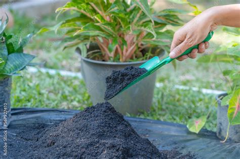 Compost/Soil 的图像结果