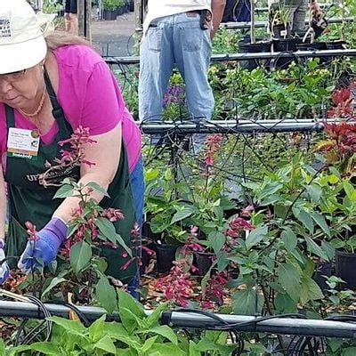 8-10-2024 Ask a Master Gardener, Zephyrhills Public Library, 10 August ...