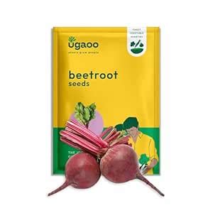 Ugaoo Beetroot Seeds - 100 g : Amazon.in: Garden & Outdoors