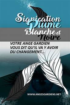 signification des plumes signification plume blanche et signification des plumes signification plume blanche et