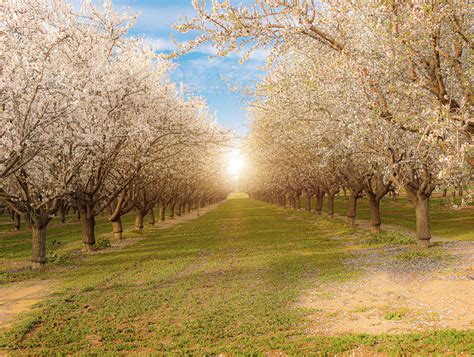 Image result for How Is Milk Processed Step by Step