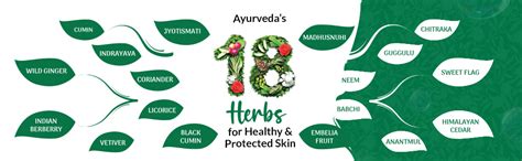 Buy Medimix Ayurvedic Classic 18 Herbs Bathing Soap 125g (Buy 4 Get 1 ...