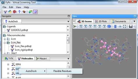 Image result for Docking PyRx Software