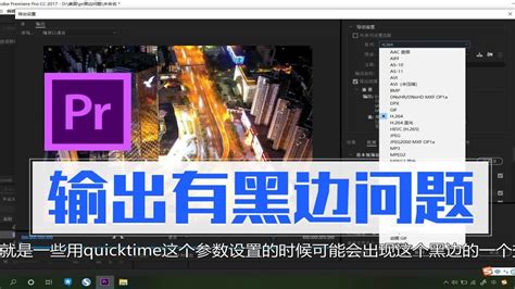 Loading Importer Quicktime.prm 的图像结果