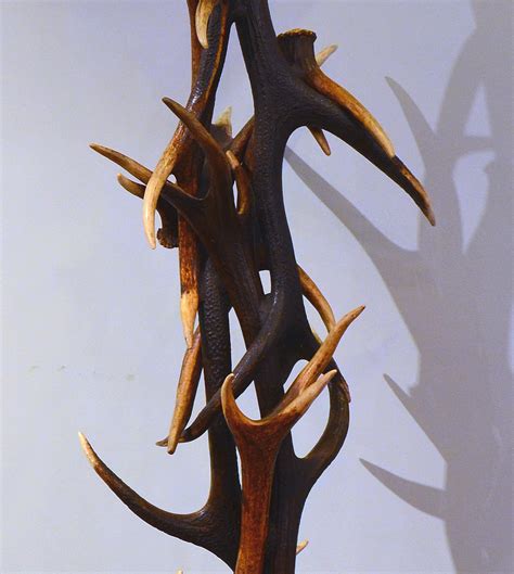 Best Antler Floor Lamp You’ll Love