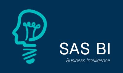 Image result for Bi SAS Tutorial