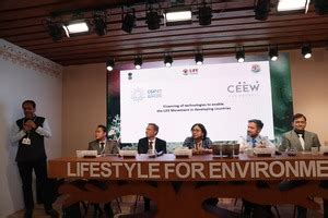 Renewable Energy | Centre for Energy Finance