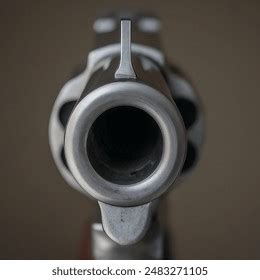 Image result for Revolver Front View
