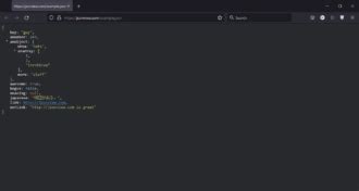 Image result for Firefox JSON Viewer