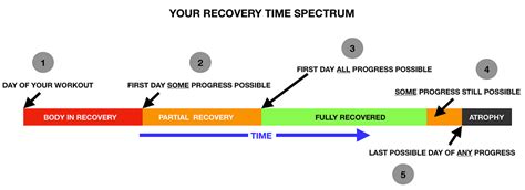 Static Contraction Workout Routine 的图像结果