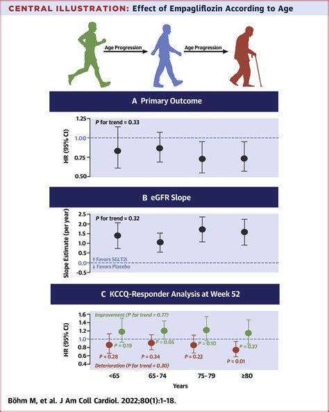 Ejection Fraction Normal Range By Age at Dennis Harrison blog