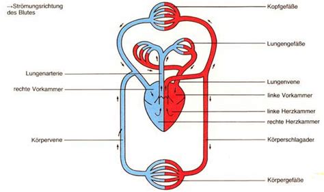 Image result for What Does a Python Program Look Like
