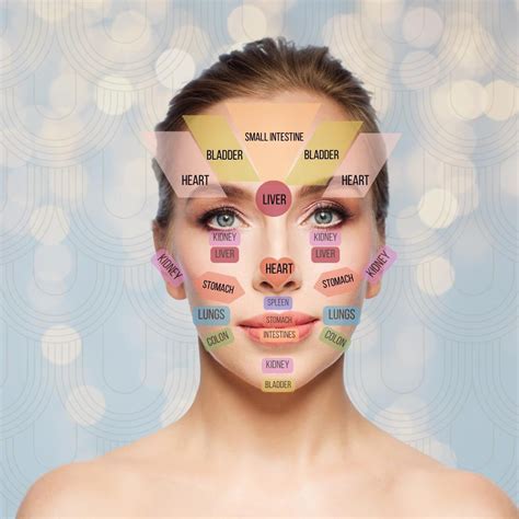 Traditional Chinese Medicine Face Map