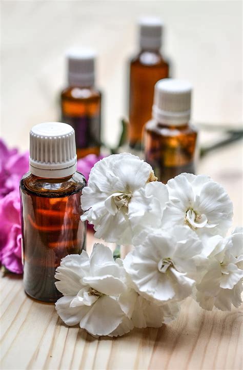 Image result for Essential Mods for Minecraft