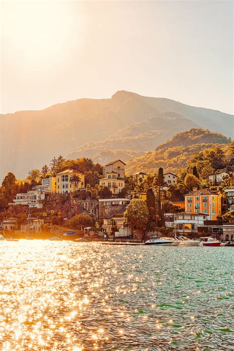 Town 的图像结果