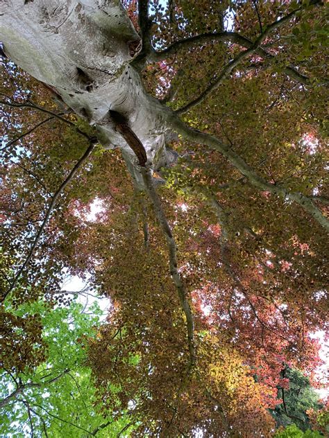 Block of 10 creative arts workshops tailored for adults with learning ...