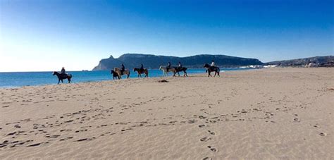Amazing, scenic ride, friendly staff! - Reviews, Photos - Ranch Paky ...