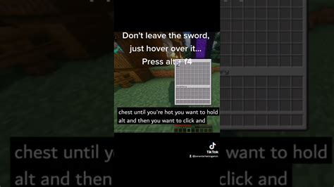 Image result for Minecraft Java 1.17.1 Metherite Duplication Glitch