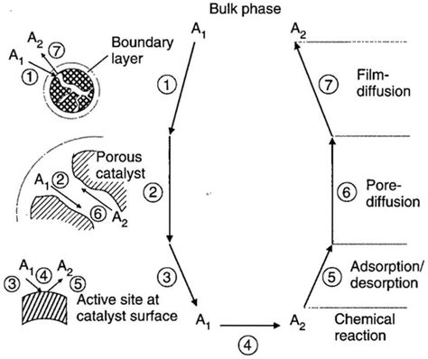 Developing Enzyme Immobilization with Fibrous Membranes: Longevity and ...