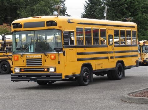 Old Short Buses For Sale at Thomas Castro blog