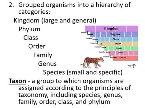 Image result for Taxonomy HTML/JavaScript