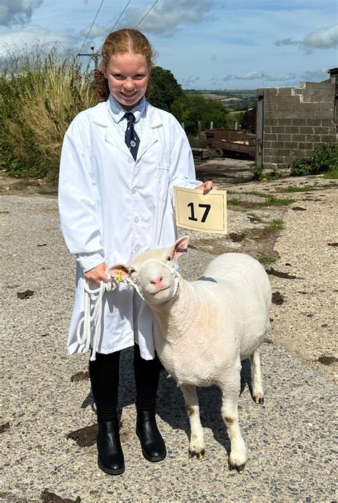 Dorset YFC Sheep Show 2023/2024 | Dorset Young Farmers