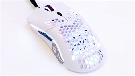 Glorious Model OCPS 的图像结果