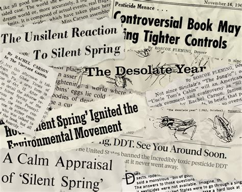 Rachel Carsons Kampf für die Umwelt: Der Stumme Frühling aus Sicht der ...