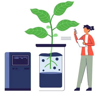 Best Web Design Company Bangalore | Ecommerce & Web Design Experts