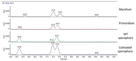 Array of Metabolites in Italian Hericium erinaceus Mycelium, Primordium, and Sporophore