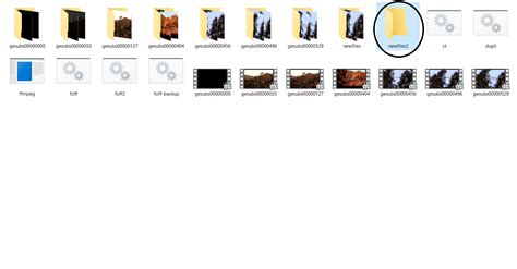 Batch File Copy File 的图像结果