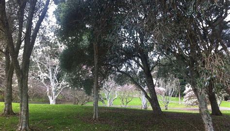 YATTON PARK - All You Need to Know BEFORE You Go 2026 (with Photos ...