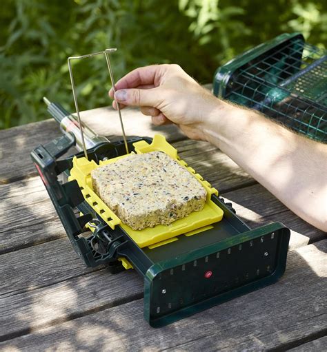 Squirrel Buster Suet Feeder - Lee Valley Tools