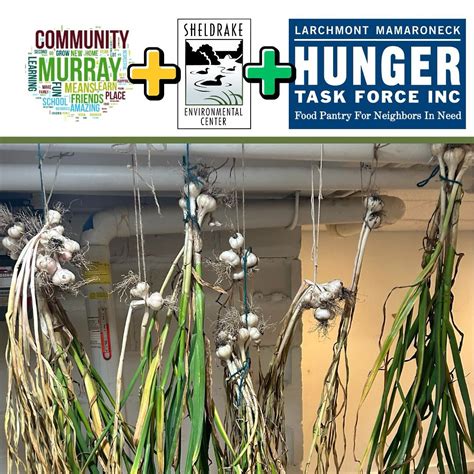 Sheldrake Environmental Center | Murray Avenue School families planted ...