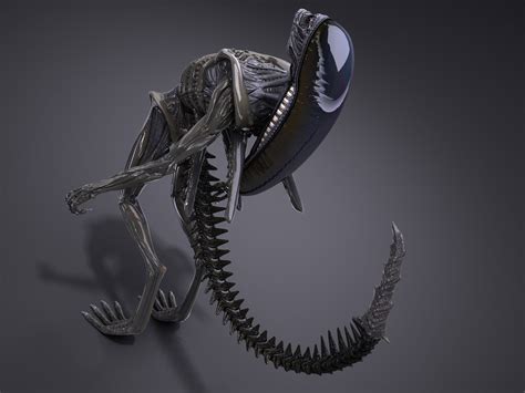 Alien Xenomorph 3D Model 的图像结果