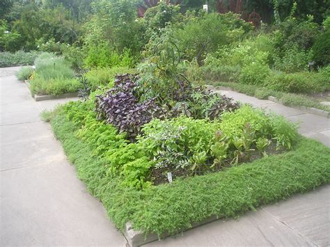 Outdoor Herb Garden Design at Mary Bevis blog