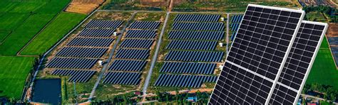 SOLAR PV MODULES | MERGANSER