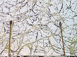 Texture Paint Vs Ivy Print Size 12X18 Inches : Amazon.in: Home & Kitchen