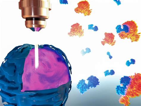 Image result for SPIM Features